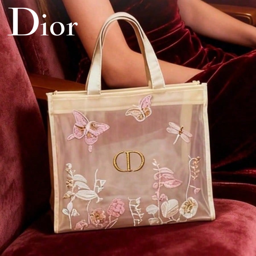 Bolso de Christian Dior, bolso - Travel Accessories Organizer Bag reseña y precio