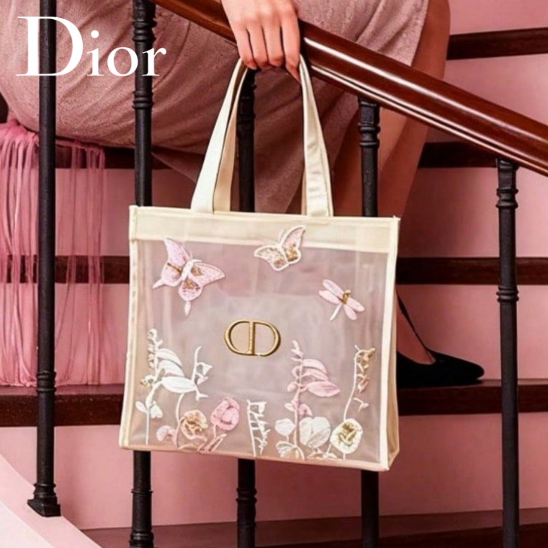 Bolso de Christian Dior, bolso - Travel Accessories Organizer Bag reseña y precio