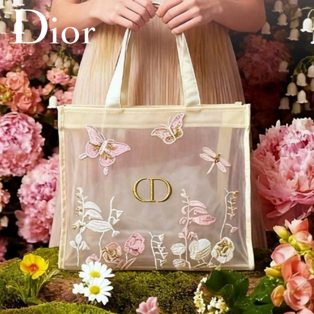 Bolso de Christian Dior, bolso - Travel Accessories Organizer Bag reseña y precio