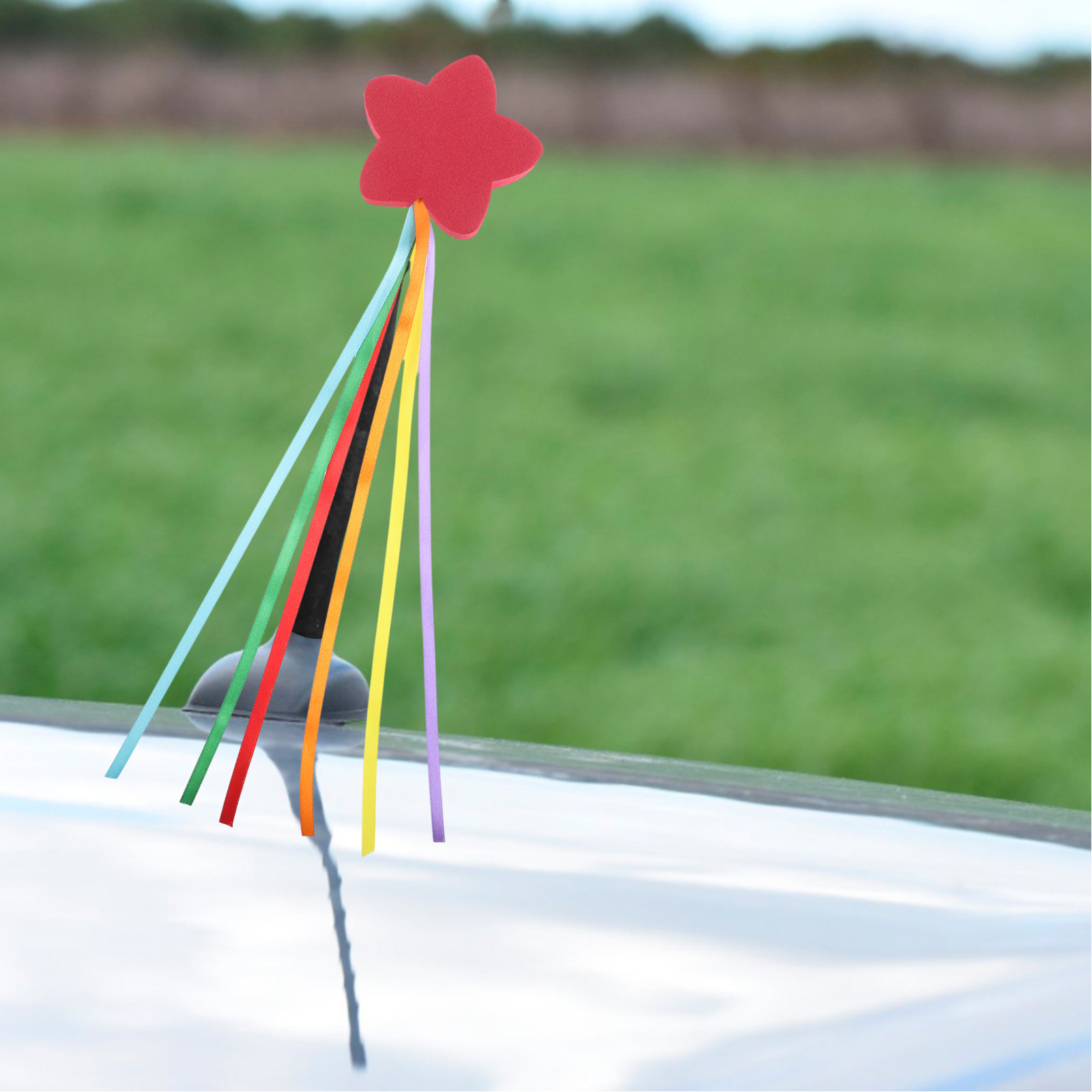 2 Adornos Esféricos para Anten - Travel Accessories For Car reseña y precio